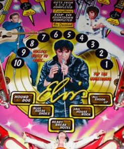 Elvis Pinball Machine by Stern