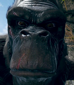 King Kong Of Skull Island VR