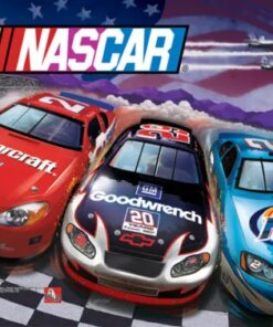 NASCAR Pinball Machine by Stern