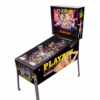 Playboy Pinball Machine by Stern showcasing vibrant artwork and classic design