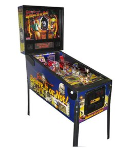 Ripley's Believe It or Not! Pinball Machine by Stern