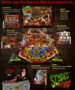 Scared Stiff Pinball Machine by Bally