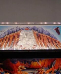 White Water Pinball Machine by Williams